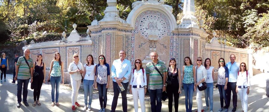 Private Half Day tour Sintra Pena Palace & Initiantion Well - Why this private Sintra trip works well from Lisbon