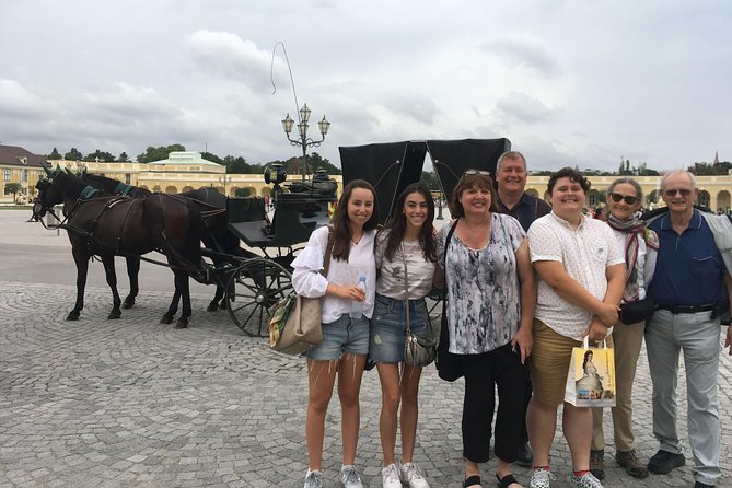 Private Schönbrunn Palace and Gardens Tour - The gardens and Gloriette in about 45 minutes