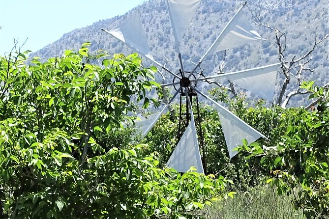 Private Tour-Knossos Palace Zeus Cave Olive Oil Mill & Wine - From Heraklion to the olive press in Gouves