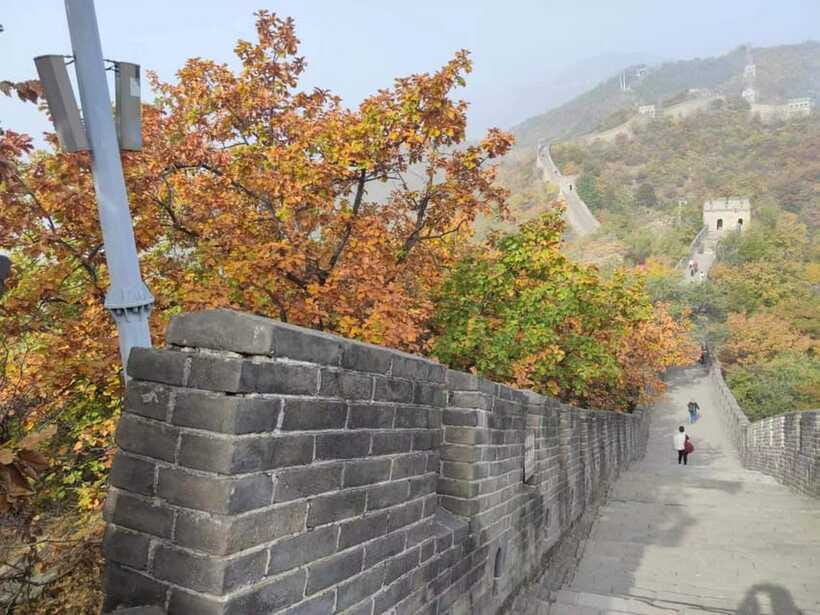 Private Trip to Great Wall+Summer Palace with English Driver - Transport, timing, and the long day