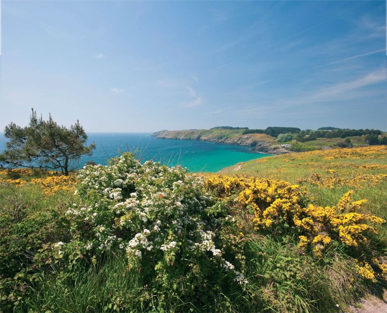 Quiberon: Ferry tickets from/to Belle-Île-en-Mer, Le Palais - Key points to know before sailing