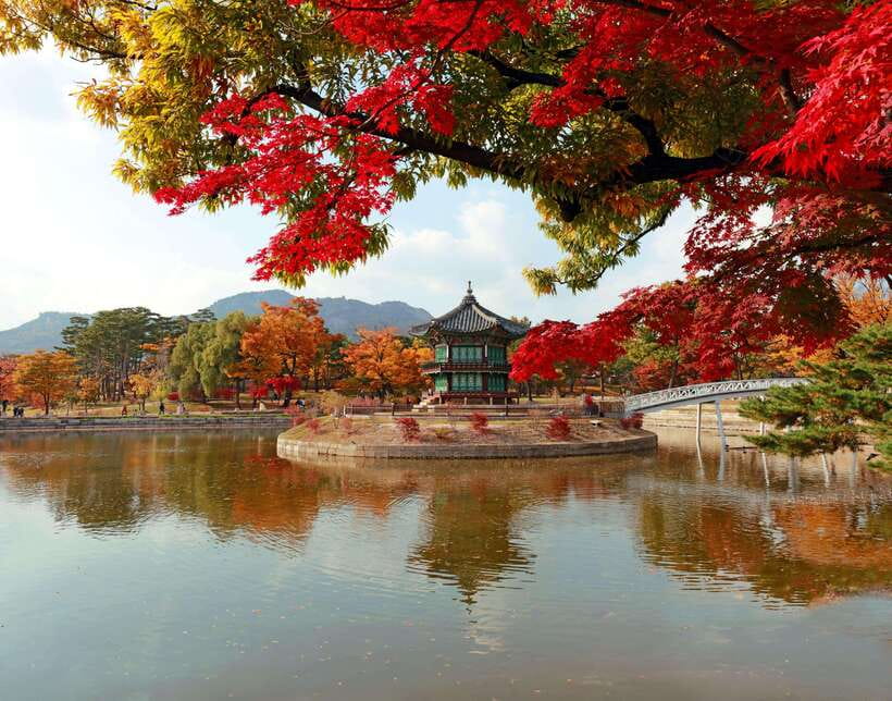 Seoul Highlights: Gyeongbok Palace, Insadong & N Seoul Tower - Gyeongbokgung and the guard ceremony