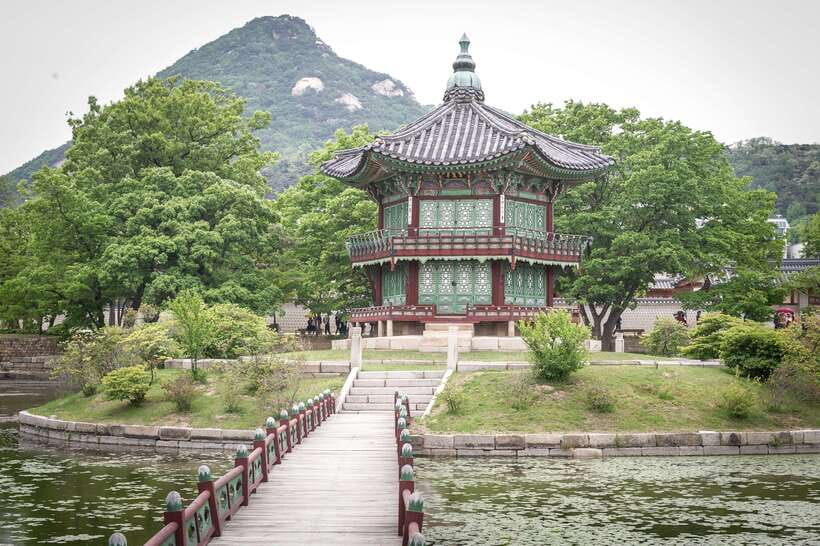 Seoul Highlights: Gyeongbok Palace, Insadong & N Seoul Tower - The ginseng stop needs the right expectations