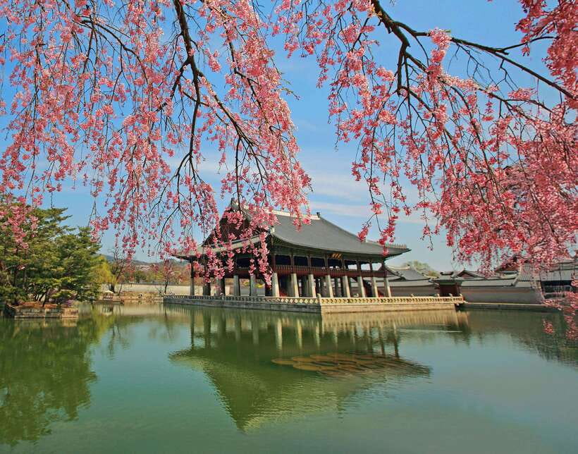 Seoul Highlights: Gyeongbok Palace, Insadong & N Seoul Tower - Jogyesa Temple begins the cultural story