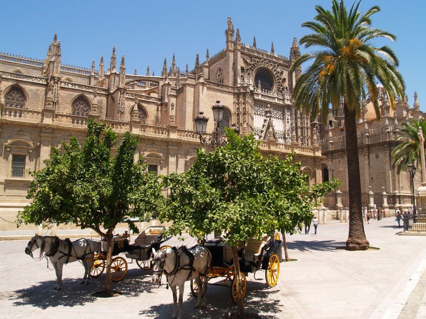 Seville: Alcázar Guided Palace Tour with Priority Access - The gardens are the tour’s essential second act