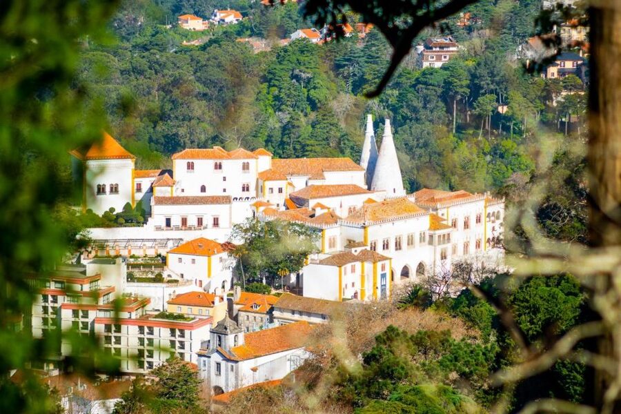 Sintra: Full-Day Private Tour & Pena Palace Entry Option - Pace, comfort, and practical limits