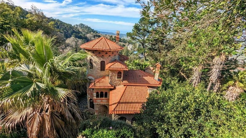 Sintra Hike: Past palaces and hidden paths. - The climb through Sintra’s wooded hills
