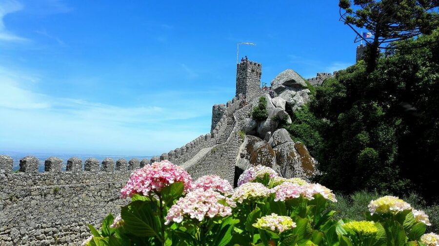 Sintra: Truly Private Tour to Pena Palace & Regaleira - What the $553 price really buys