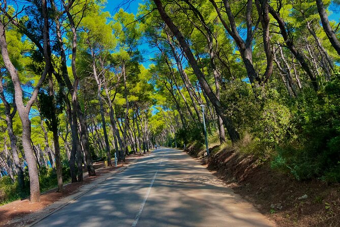 Split by Private Electric Rickshaw - Palace & Hidden Gems - What the guides add to the ride