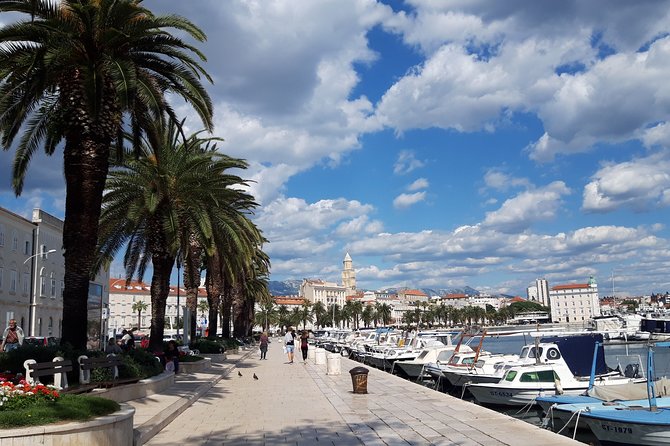 SPLIT-PRIVATE Walking Tour of Diocletian's Palace & Old Town - Key points to know before you book