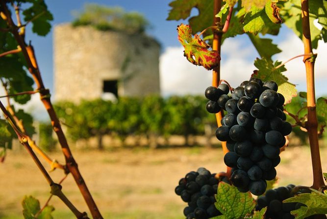 St-Emilion & Médoc Wine Day Tour: Chateaus, Tastings and Lunch - Key points at a glance