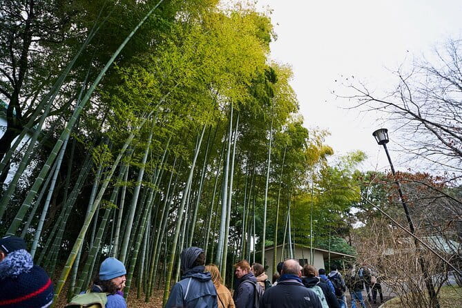 Tokyo Castle & Imperial PalaceーShogun Walking Tour - Sakurada Tatsumi Yagura and the first castle clues