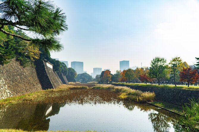 Tokyo: Edo Castle & East Garden of the Imperial Palace Tour - Meeting at Wadakura Fountain Park