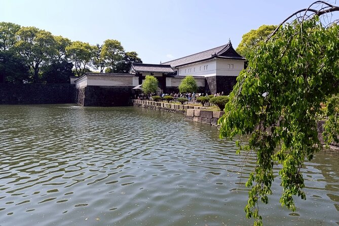 Tokyo: Imperial Palace and Shogun Historical Walking Tour - What the guides do best, and where they vary