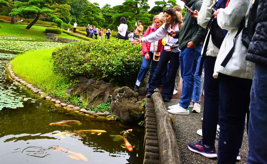 Tokyo: Imperial Palace Japanese History Walking Tour - Key points to know before you book