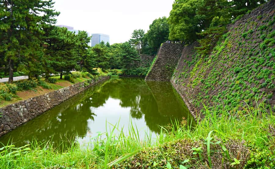 Tokyo: Imperial Palace Japanese History Walking Tour - Who should book this Imperial Palace tour?