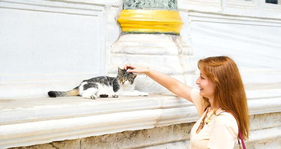 Topkapi Palace & Harem Tour + Bosphorus & Golden Horn Cruise - How tiring is the palace?