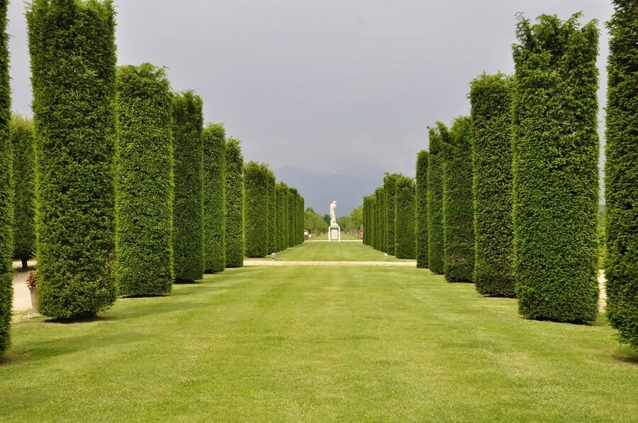 Turin: Palace of Venaria Guided Tour - Key Points to Know Before You Go