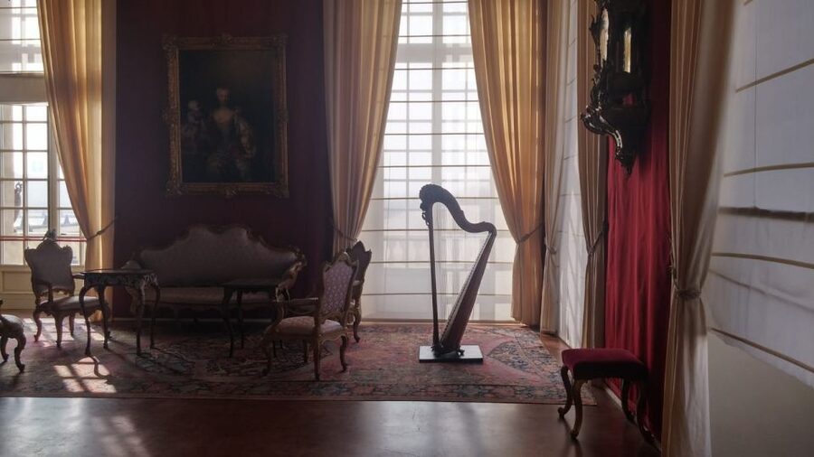 Turin: Palace of Venaria Guided Tour - The Savoy Family Story Makes the Rooms Meaningful