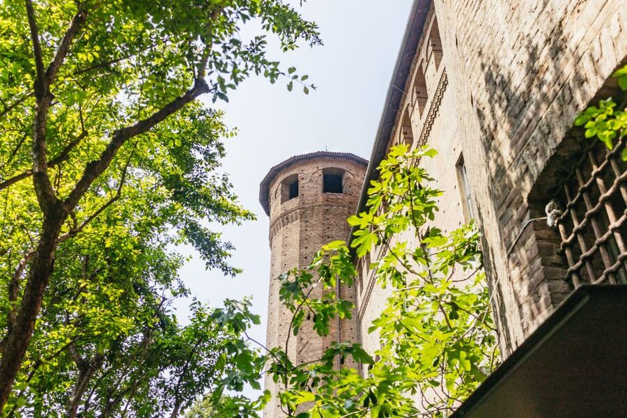 Turin: Palazzo Madama Museum of Ancient Art Entrance Ticket - Five things to know before visiting Palazzo Madama