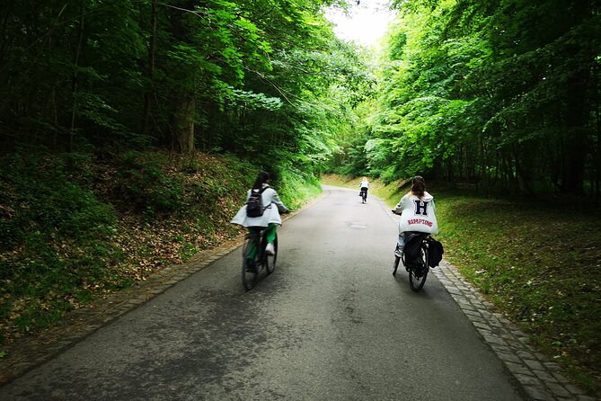 Versailles Full-Day Electric Bike Tour : Market, Picnic & Palace - From Saint-Cloud views to Marnes-la-Coquette
