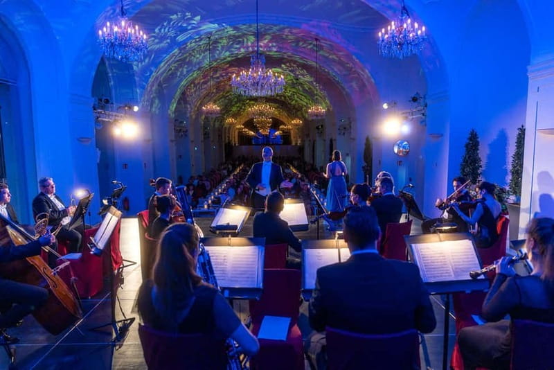 Vienna: Dinner & Concert at Schönbrunn Palace - Who will enjoy this Schönbrunn evening?