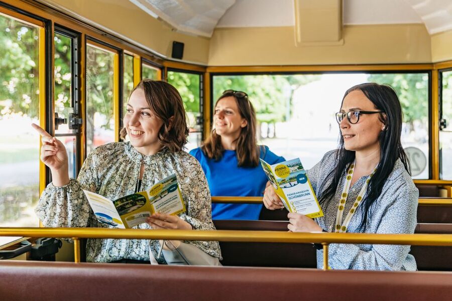 Vienna: Panorama Train Tickets to explore Schönbrunn Palace - Who will get the most from this ride?