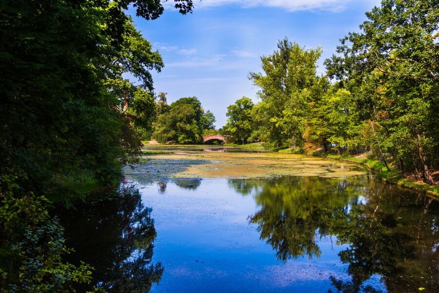 Warsaw Private Wilanow Palace & Garden Tour - What the guides add to the experience